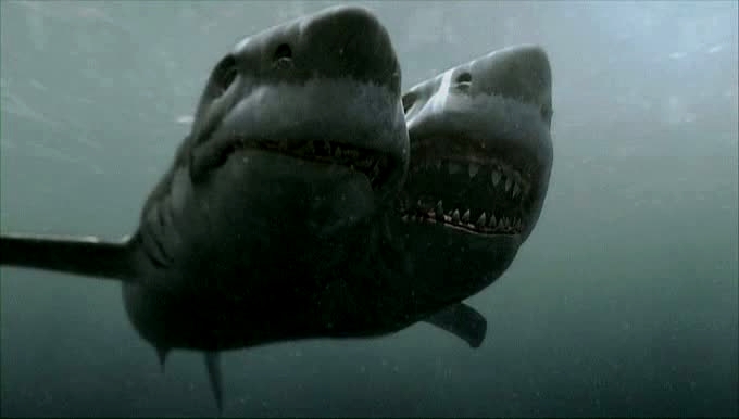 2-Headed Shark Attack