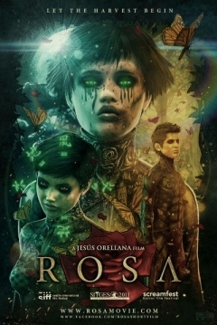 Poster Rosa