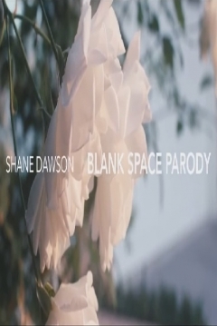 Poster Taylor Swift - Blank Space Parody