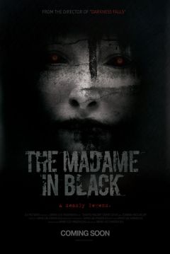 Poster The Madame in Black