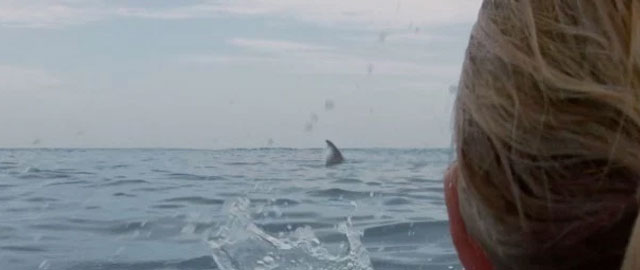 Primer trailer para ‘Cage Dive’, tiburones + mockumentary