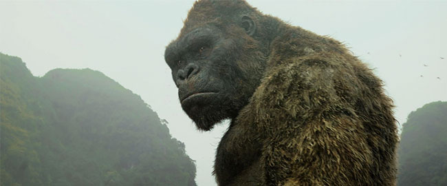 Adam Wingard afirma que  ‘Godzilla vs. Kong’ tendrá un claro vencedor