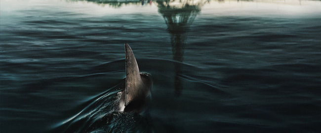 Tommy Wirkola dirigirá una película de ataques de tiburones para Sony