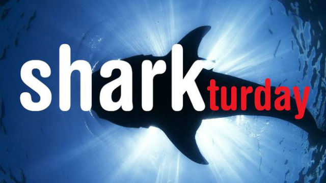 Sharkturday: 4 películas de tiburones en Cuatro