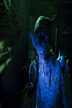 El Hombre Verde Duende Maldito Leprechaun Biografia Fotos