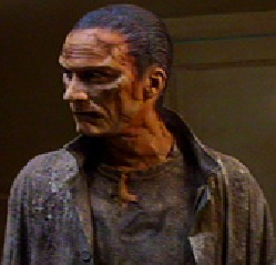 The Sandman