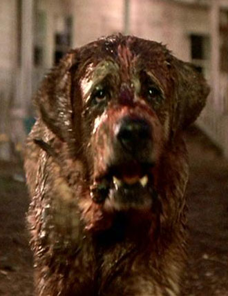 Cujo