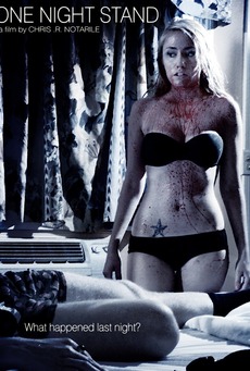 Poster One Night Stand