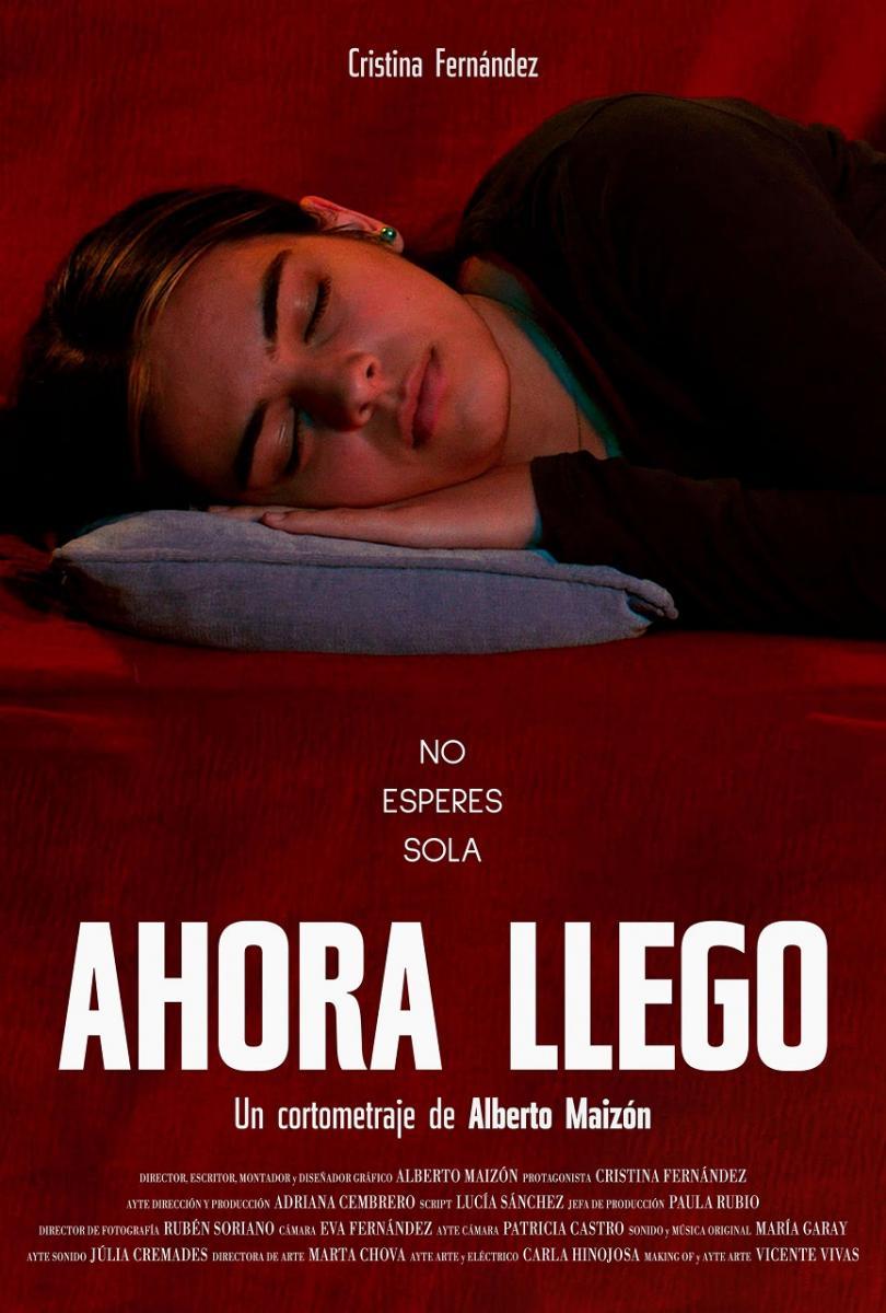 Poster Ahora Llego