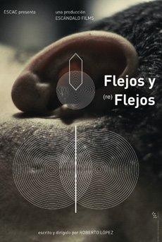 Poster Flejos y Reflejos