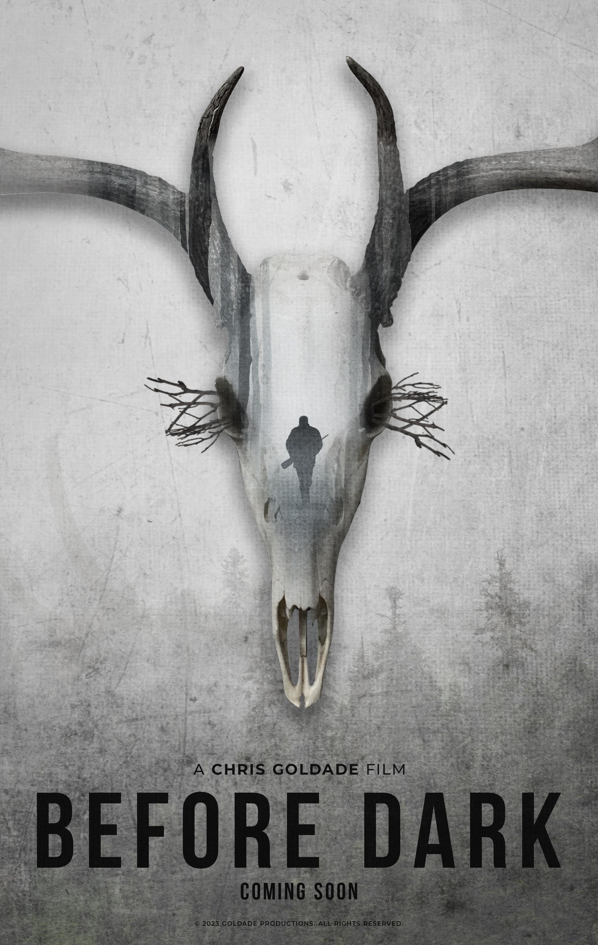 Poster Before dark