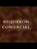 Poster Requesón Comercial