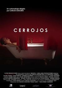 Poster Cerrojos