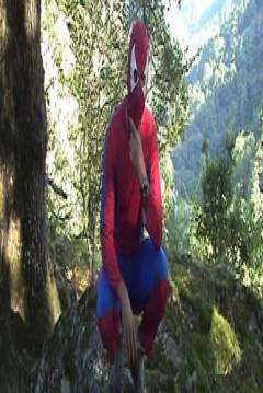 Poster Spider-Boy vs. El Duende del Bosque