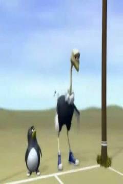 Poster Pingüino vs Avestruz
