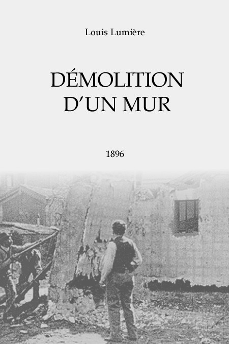 Poster Demolición de un Muro