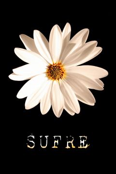 Poster Sufre