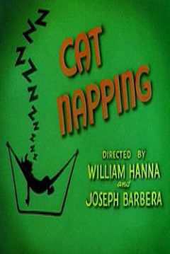 Poster Cat Napping