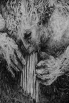 Poster Syrinx