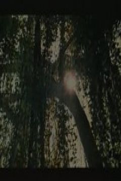 Poster Buena onda
