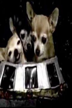 Poster Attack of the 50 Foot Chihuahua from Outer Space