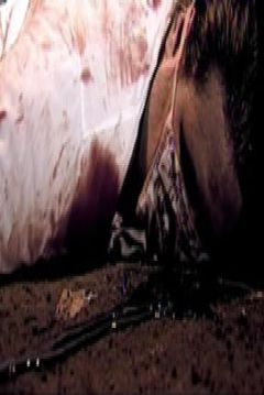 Poster The Insane (2006)