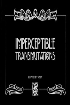 Poster The Imperceptible Transmutations
