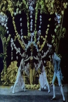 Poster Las Rosas Mágicas
