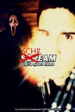 Poster Schream