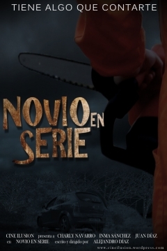 Poster Novio en Serie