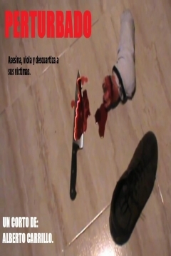 Poster Perturbado (2012)