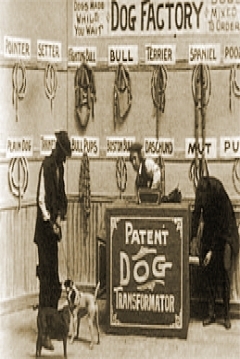Poster Dog Factory