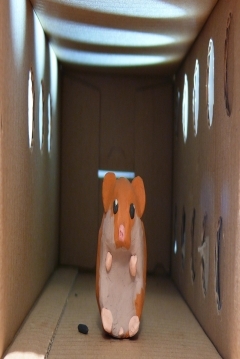 Poster Hamster Hell
