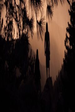 Poster Valley of Mist