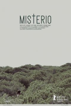 Poster Misterio