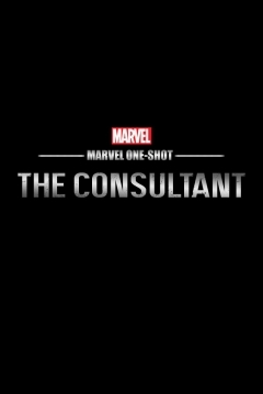 Poster Marvel de un Vistazo: El Consultor