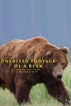 Poster Unedited Footage of a Bear