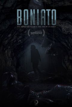 Poster Boniato
