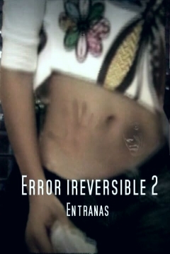 Poster Error Irreversible 2