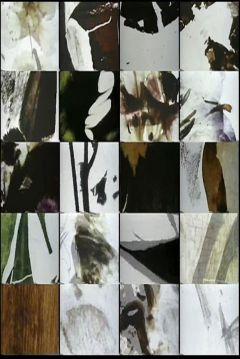 Poster Mothlight