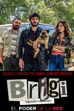 Poster Brigi: El Poder de la Red