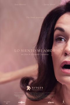 Poster Lo Siento Mi Amor