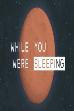 Poster While You Were Sleeping