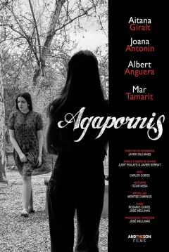 Poster Agapornis