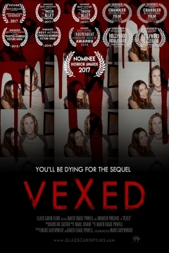 Poster Vexed