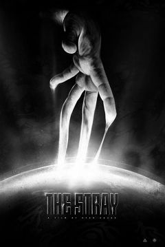 Poster The Stray