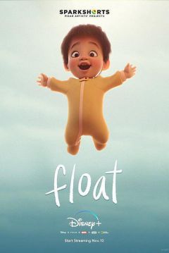 Poster Vuela