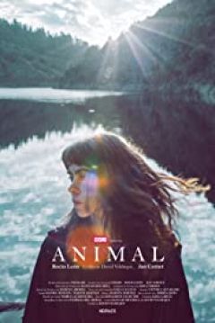 Poster Animal