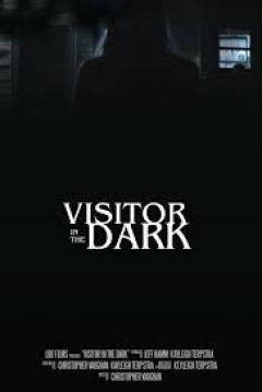 Poster Visitor in the Dark