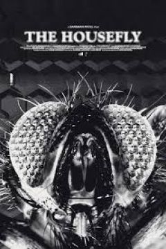 Poster The Housefly